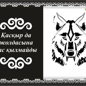 10329290_704500722944898_6755957210746995770_n