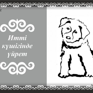 10342502_704500086278295_1571248892921665758_n