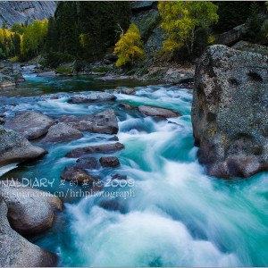 995503_228923243933766_875428069_n