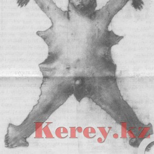 kesik bas tiri tulip