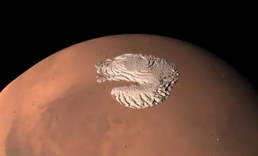 اقش عالىمدارى مارستان الىپ مۇزدىق تاپتى