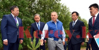 Ел басы Астана қаласының «жасыл белдеуін» дамыту жұмыстары барысымен танысты