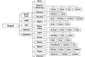 АБАҚ АНА ЖӘНЕ ТАСБИКЕ АНА