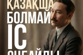 &ldquo;Қазақ тілі – мемлекеттік тіл&rdquo; деп жазылып тұр ғой дейді. Неге ондай сөздің пайдасы жоқ екенін түсіндірейін.