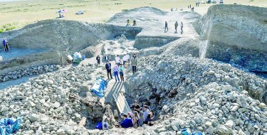 Шежірелі Шілікті