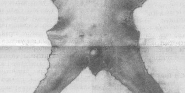 Тірідей сойылған қазақтың қасіреті