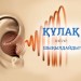 ҚҰЛАҚ НЕГЕ ШЫҢЫЛДАЙДЫ?